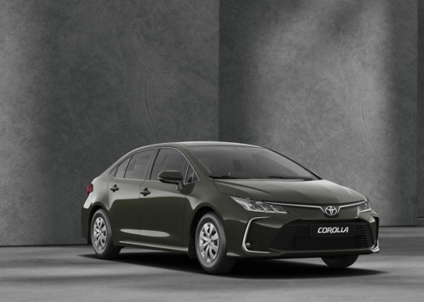 From Hurghada to Aswan in a Limo - Max 2 pax